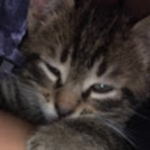 Meet your Posher, Katherine